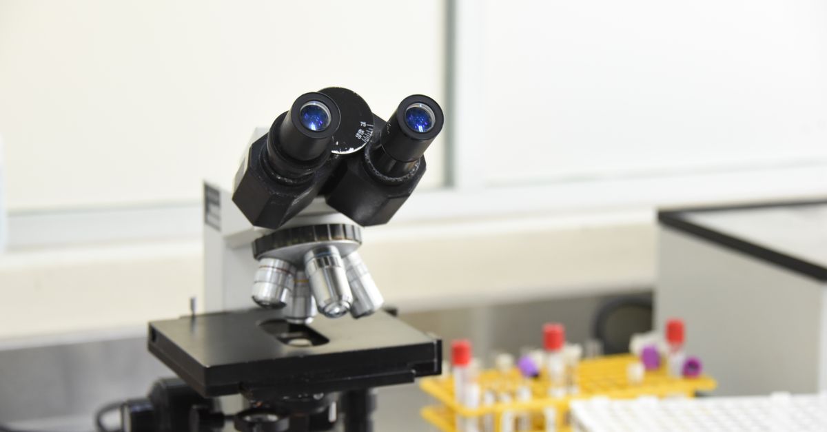 AI's Hidden Risk: Tool Convenience May Be Eroding Scientific Diversity