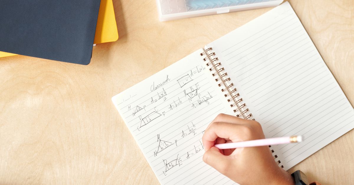 How AI Models Learn From Teachers Without Rewriting Themselves