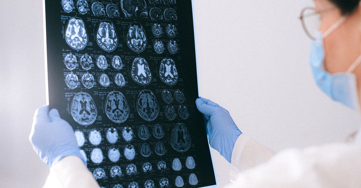 New Framework Gives Robots Memory and Foresight for Complex Tasks