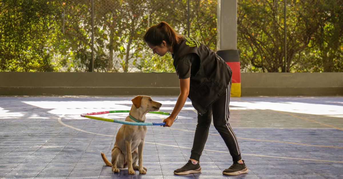 New Training Method Teaches AI Models to Recognize Their Own Limitations